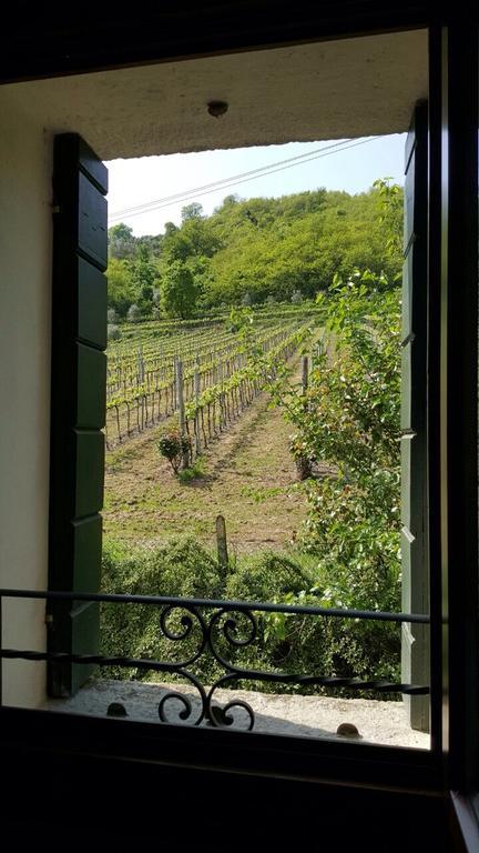 Villa Pollini Torreglia Zewnętrze zdjęcie